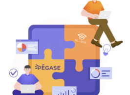 Logo Pegase